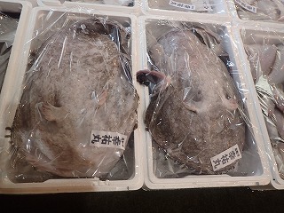 キアンコウ