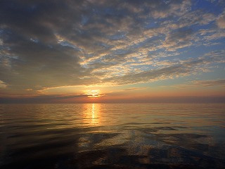 朝日（賀露沖水深190m付近）