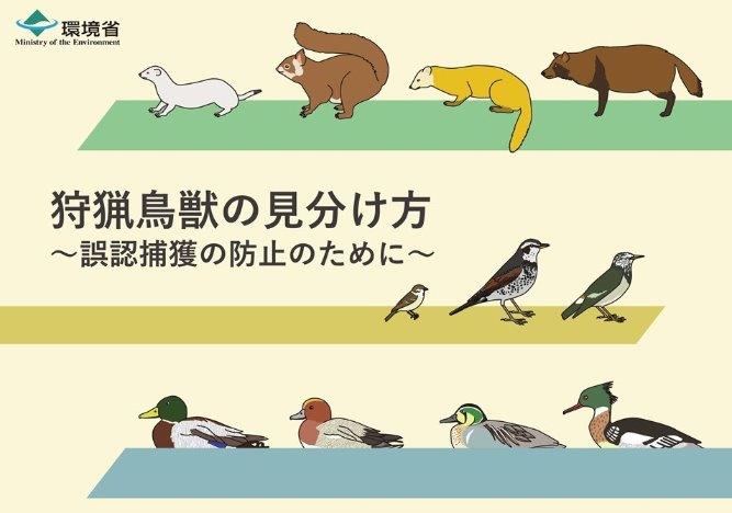 パンフレットの表紙