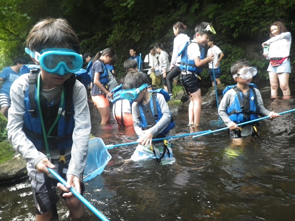 川の自然観察1