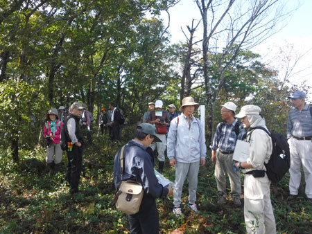 山頂部の様子