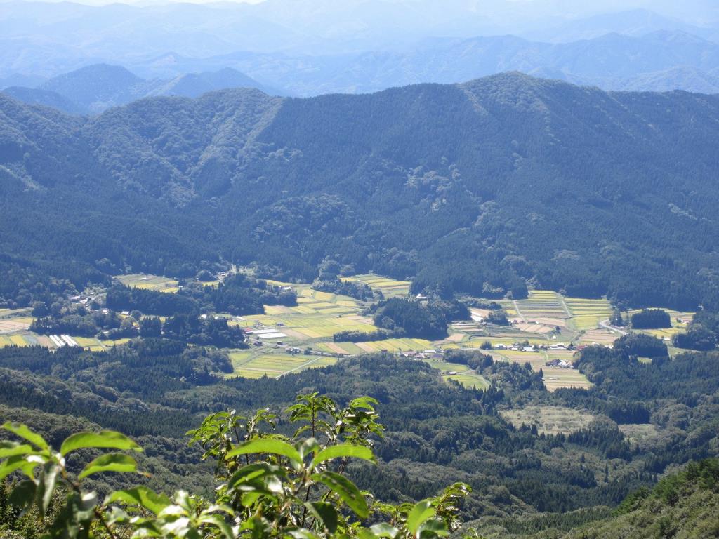 hanamiyamahumoto