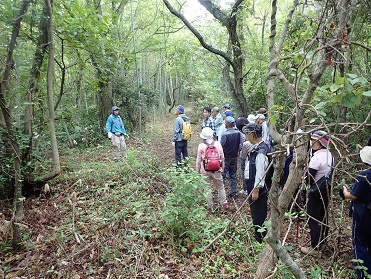 養郷坂