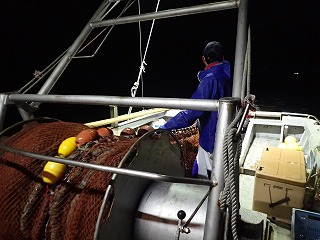 美保湾での小型底びき網の試験操業