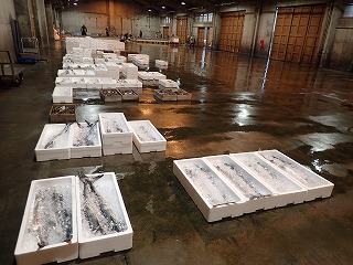 水揚げ状況