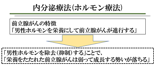 内分泌療法