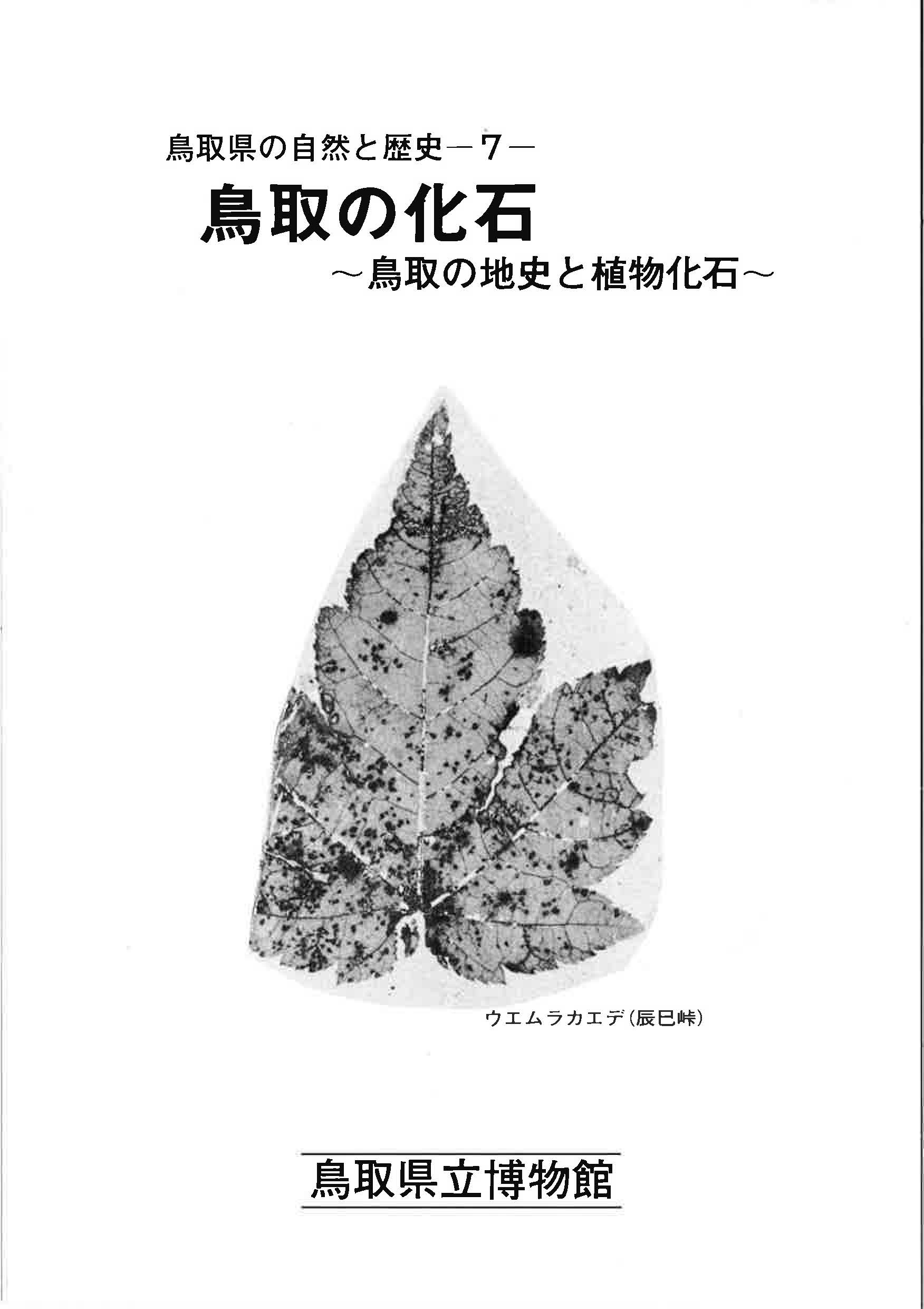 鳥取の化石表紙