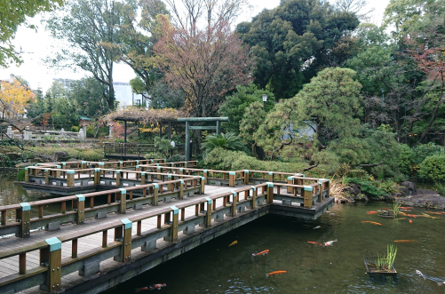 東郷神社の池写真