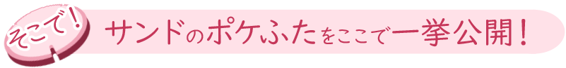 そこで！サンドのポケふたをここで一挙公開！