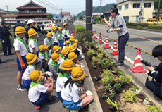 植栽ボランティア活動の写真