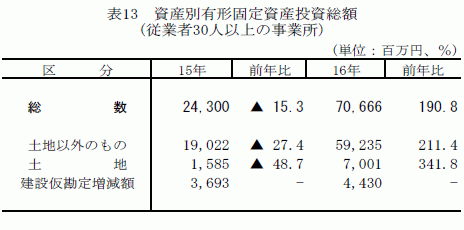 資産別有形固定資産投資総額（従業者30人以上の事業所）