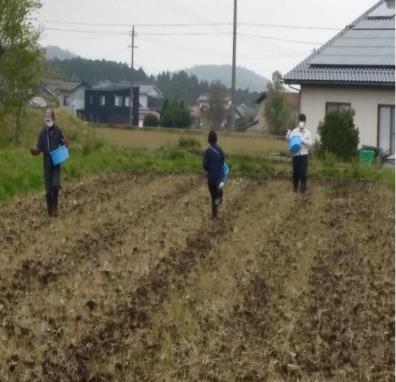 手散布