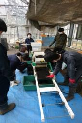 播種作業１