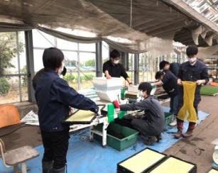 播種作業２