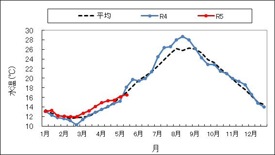 水温２０２３０５２５