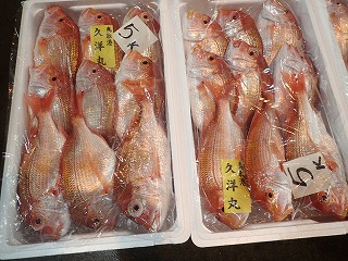 キダイ