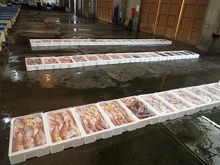 小型底びき網の漁獲物（3隻分）