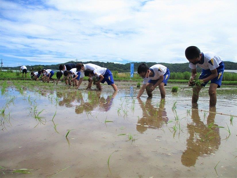 青谷高校2年生、青谷小学校5年生