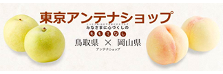 東京アンテナショップバナー