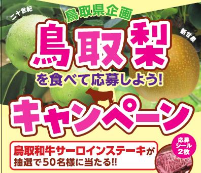 キャンペーン画像