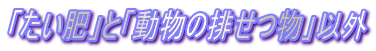 rogo2