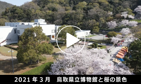 空からみた鳥取県立博物館2021春