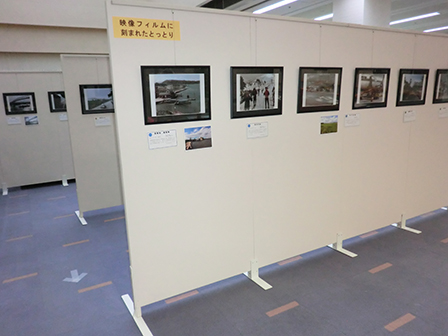 展示の様子 展示の様子