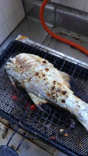 ツバメコノシロの塩焼き