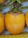 収穫例