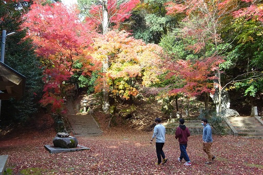 諏訪神社参道