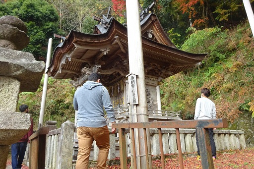 諏訪神社の神木