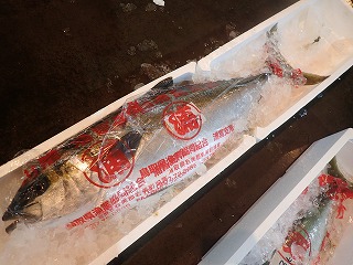 ヒラマサ