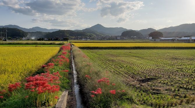 サイクリング風景写真