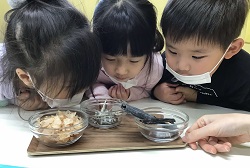 だし