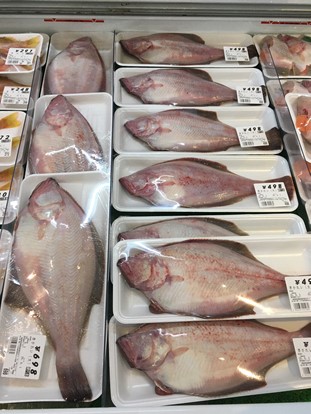 海鮮写真