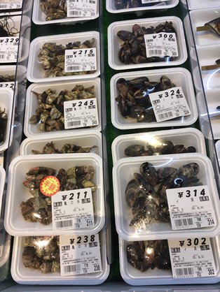 海鮮写真２