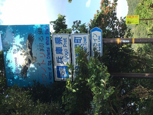 陸上岬写真2