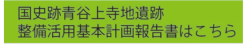 国史跡青谷上寺地遺跡整備活用基本計画報告書