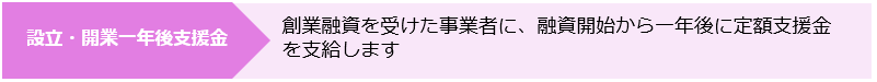 設立・開業一年後支援金