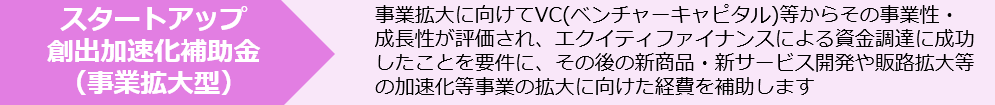 スタートアップ創出加速化補助金（事業拡大型）