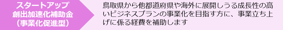 スタートアップ創出加速化補助金（事業化促進型）