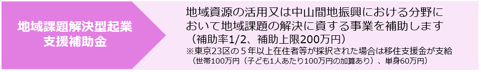 地域課題解決型起業支援補助金