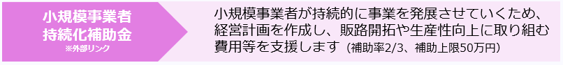 小規模事業者持続化補助金