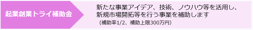 起業創業トライ補助金