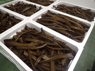 茎ワカメ
