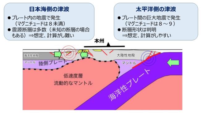 日本海側と太平洋側の津波の特徴のイラスト