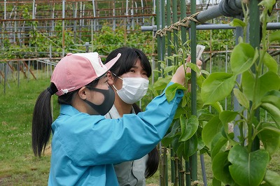 作業指導