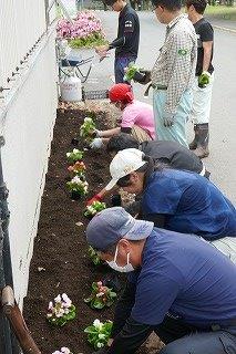 花壇植え替え作業