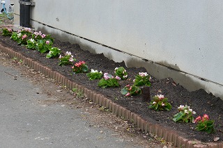 花壇完成