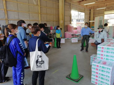 大原トマト選果場